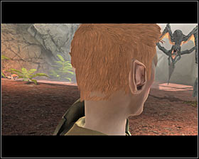 1 - Mirror Image - p. 2; Back from Sundermount - Act II - Dragon Age II Game Guide