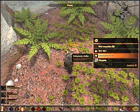 5 - Dissent - p. 2 - Act II - Dragon Age II Game Guide