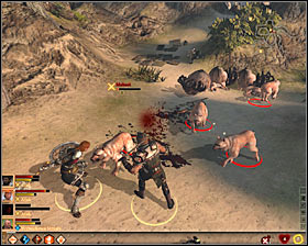 Head towards the north-west part of the area - Terror on the Coast - Act I - Dragon Age II Game Guide