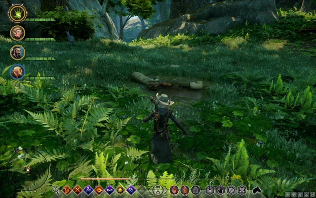 A picnic - that is the way to go - Dragon Age Inquisition: A Lovers Promise - Side Quests - Emerald Graves - Dragon Age: Inquisition Game Guide & Walkthrough