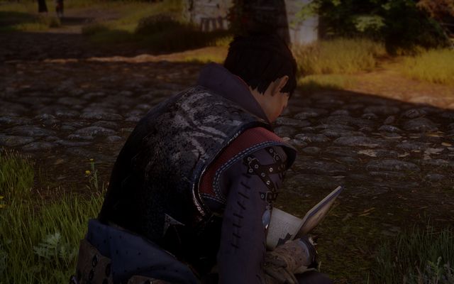 Cassandra loves Varrics books. - Dragon Age Inquisition: Guilty Pleasures - The Inner Circle (companion quests) - Dragon Age: Inquisition Game Guide & Walkthrough