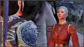 WYNNE (human, mage) - Dragon Age Origins: List of companions - World Atlas - Followers - Dragon Age: Origins Game Guide