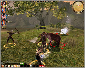 Bears - Dragon Age Origins: Bestiary - Part 1 - World Atlas - Appendix - Dragon Age: Origins Game Guide