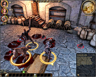 Use a nearby door to enter [Cousland Castle - Pantry] (M15, 4) - Dragon Age Origins: Chaos in the pantry - Origin story: Human noble - Castle Cousland (Prologue) - Dragon Age: Origins Game Guide