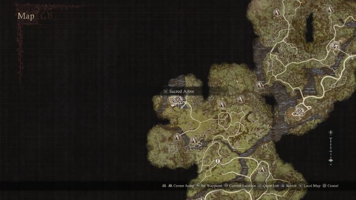 1 - Dragons Dogma 2: How to find the elf village? - Exploration - Dragons Dogma 2 Guide