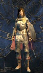 Fighter - Classes - Character and its development - Dragons Dogma - Game Guide and Walkthrough