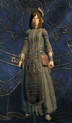 Sorcerer - Classes - Character and its development - Dragons Dogma - Game Guide and Walkthrough