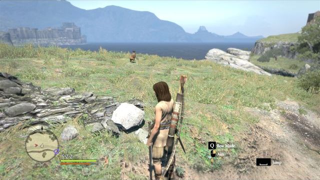 Hunt rabbits - it is an easy way to get some meat - General hints - Basic information - Dragons Dogma - Game Guide and Walkthrough