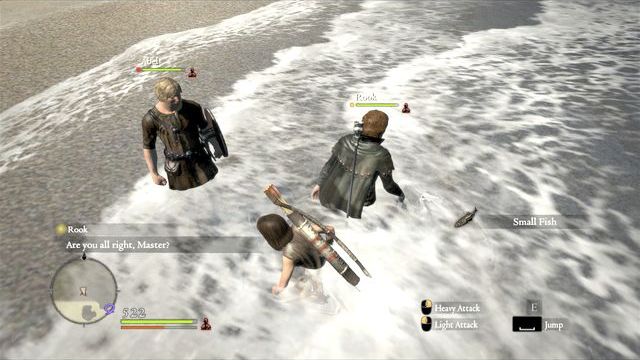 You can catch fishes with bare hands. Pawns will help you. - Preliminary information - Pawns - Dragons Dogma - Game Guide and Walkthrough