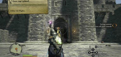 Now it's time to face the Wights - two necromancers who summon Skeletons, cast offensive spells and can heal themselves - Deny Salvation - Act VI - Dragons Dogma - Game Guide and Walkthrough