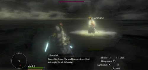 If you chose to continue the battle, face the Seneschal and his Pawn (with the help of your own) - Final Judgement - Act VII - Dragons Dogma - Game Guide and Walkthrough