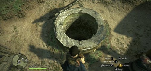 The next step is quite obvious - go down into the well - Deep Trouble - Act I - Dragons Dogma - Game Guide and Walkthrough