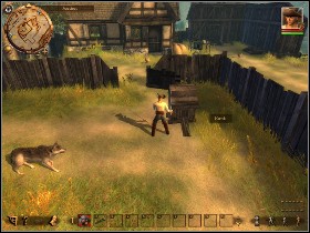 Convince Binga to give you the dog bone or steal it from her - Chapter 1 - Sidequests - Chapter 1 - Drakensang: The Dark Eye - Game Guide and Walkthrough