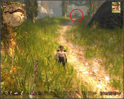 Remember to keep a reasonable distance. You do not have to hurry, you always catch up with ox. - Nadoret - for Rogues - p. 2 | Main quests - Main quests - Drakensang: The River of Time Game Guide