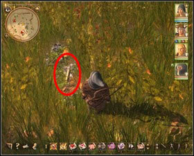 Parzalon stands near the inn - Customs Stronghold 2 (after the quest 13. A toll is not enough) | Side quests - Side quests - Drakensang: The River of Time Game Guide