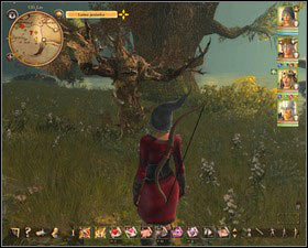 1 - Elven Forest 3 (after the quest 33. Hidden harbor) | Side quests - Side quests - Drakensang: The River of Time Game Guide