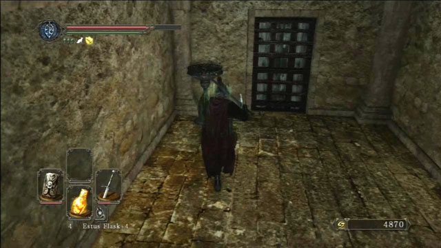 Open the door - Brightstone Cove Of Tseldora - campsite - Walkthrough - Dark Souls II - Game Guide and Walkthrough