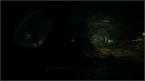 Eventually you will reach a room with Pregnators - small bugs with huge scrotums hanging from their backs - hatch from cocoons growing out of the floor - 8.2. The Hive: Part 2 - Campaign - Duke Nukem Forever - Game Guide and Walkthrough