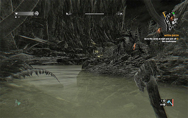 You can start this quest after visiting the School building in the fifth main quest - Siblings - 27: Witch Queen | Side quests - The Slums - Side quests - The Slums - Dying Light Game Guide