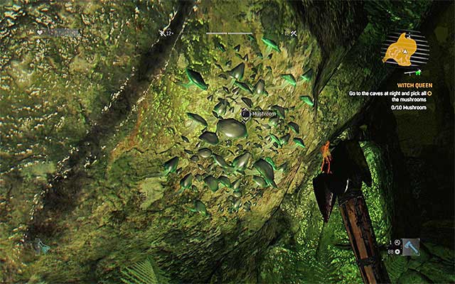 An example of a mushroom that can be found in the cave. - 27: Witch Queen | Side quests - The Slums - Side quests - The Slums - Dying Light Game Guide