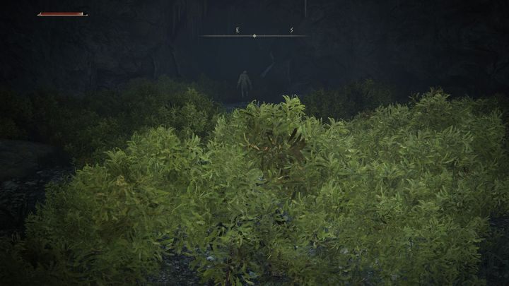 In Elden Ring, you can crouch by pressing the corresponding button (L3 for PS5), which makes you move slower, but also much less detectable - Elden Ring: Beginners guide - Elden Ring: Basics - Elden Ring Guide