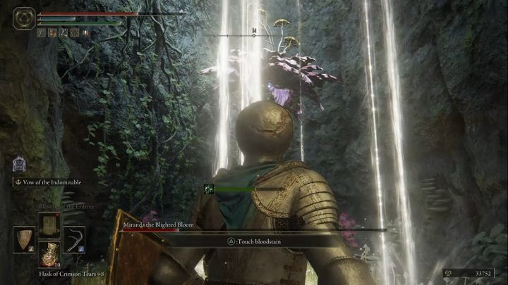 The fight with Miranda isn't divided into phases - Elden Ring: How to beat Miranda, the Blighted Bloom? - Elden Ring: All bosses in Weeping Peninsula - Elden Ring Guide