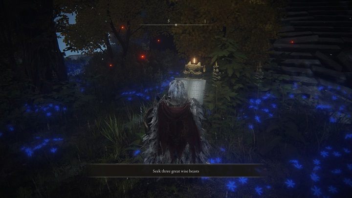 You must solve a puzzle to enter Chelona's Rise - Elden Ring: List off all Legendary Sorceries and Incantations - Elden Ring: Trophy Guide - Elden Ring Guide