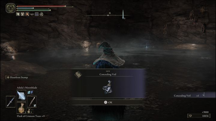 For defeating the final version of the boss, which is located in the Altus Plateau, you will receive the Concealing Veil talisman and 9000 Runes - Elden Ring: How to beat Black Knife Assassin in Altus Plateau? - Elden Ring: All bosses in Altus Plateau - Elden Ring Guide