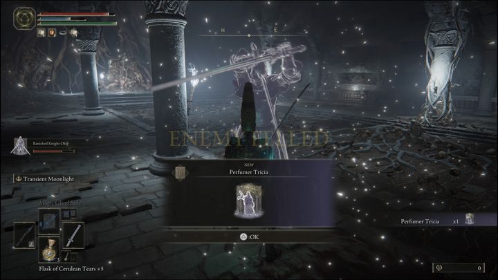 For defeating them you will receive Perfumer Tricia Ashes and 9,400 Runes - Elden Ring: How to beat Perfumer Tricia and Misbegotten Warrior? - Elden Ring: All bosses in Altus Plateau - Elden Ring Guide