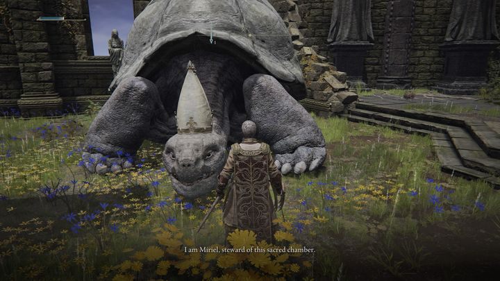 Go to Church of Vows - Elden Ring: Sorceries and Incantations (Lirunia of the Lakes) - list of all - Elden Ring: Liurnia of the Lakes - Elden Ring Guide