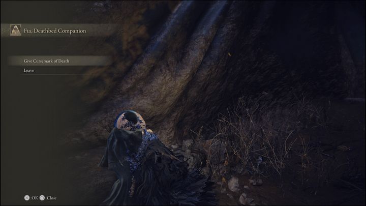 Then you will receive a quest to find the Cursemark of Death - Elden Ring: Fia - walkthrough - Elden Ring: Quests - Elden Ring Guide