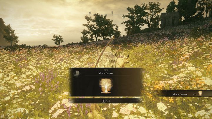 Requirements - Shadow of the Erdtree: All new spells and incantations - Shadow of the Erdtree: Basics - Elden Ring Guide