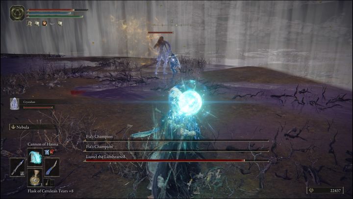 However, if you don't want to focus on several enemies at once, you can repeat the tactic of using Night spells to kill one enemy quickly - Elden Ring: How to beat Fias Champions? - Elden Ring: All bosses in Deeproot Depths - Elden Ring Guide