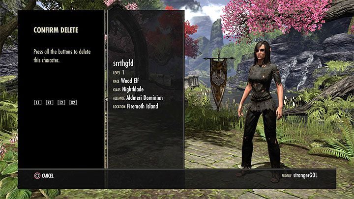 To confirm your decision, you must press all the buttons shown on the screen - ESO: Managing different characters, tips - Starting the game - The Elder Scrolls Online Guide
