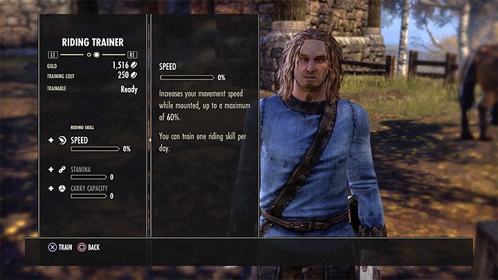 TESO allows players to pay for riding lessons provided by Riding Trainers - ESO: Mounts - how to get a horse? - Game guide - The Elder Scrolls Online Guide