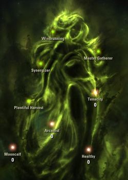 The name of the skill - ESO: Level 50 guide, tips - ESO in 10 Easy Steps - The Elder Scrolls Online Guide