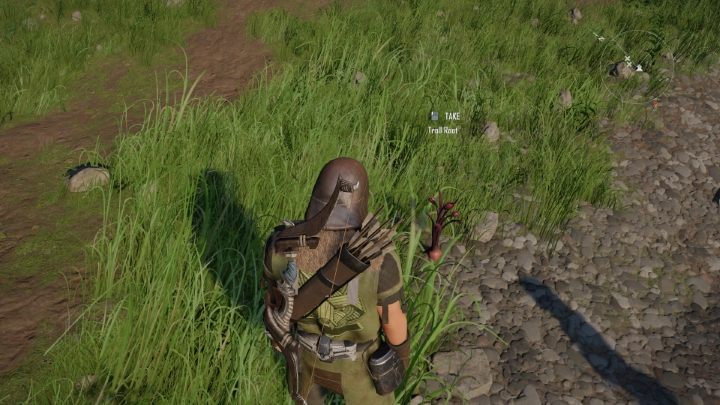 The 5 Troll Roots are difficult to obtain ingredients - Elex 2: On the Road to Becoming a Warrior - walkthrough - Berserkers - Elex 2 Guide