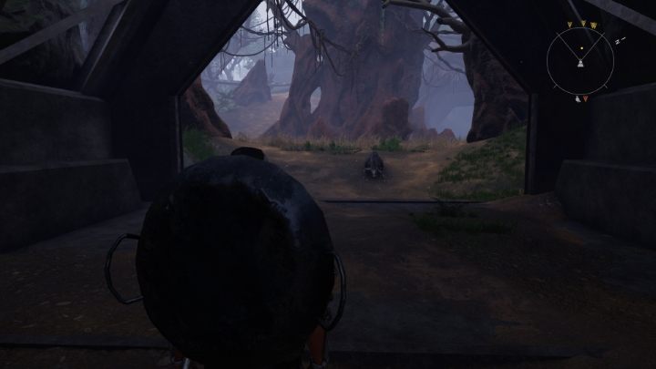 The quest's objective is very simple - you have to defeat 5 rats - Elex 2: Plague of Rats (Tavar) - walkthrough - Tavar - Elex 2 Guide