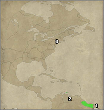 2 - Campaign Guide - Great Campaign - Netherlands - Great Campaign - Empire: Total War - Game Guide and Walkthrough