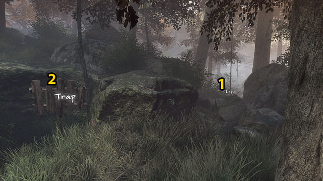 The first two traps are o the right of the tracks, close to the tunnel mouth - Traps and skulls | Walkthrough - Walkthrough - The Vanishing of Ethan Carter Game Guide & Walkthrough