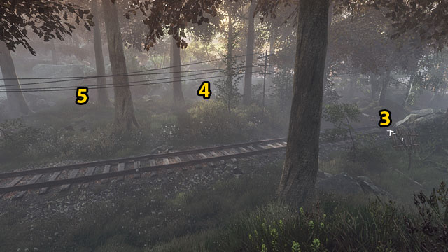 There also is a third trap, on the right of the tracks (close to the pile of rocks on the tracks) - Traps and skulls | Walkthrough - Walkthrough - The Vanishing of Ethan Carter Game Guide & Walkthrough
