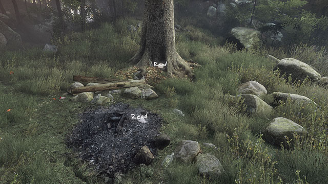 After you read the story, you return to the previous version of the mead - Traps and skulls | Walkthrough - Walkthrough - The Vanishing of Ethan Carter Game Guide & Walkthrough