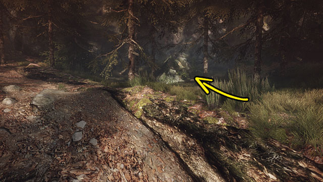 You now need to head towards the locked entrance to the mine, which you pass by, while taking the longer route to the church - Murder in the mine | Walkthrough - Walkthrough - The Vanishing of Ethan Carter Game Guide & Walkthrough