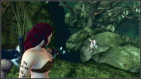 After entering the village at the end of the forest, go straight while sticking to the right side - Mourningwood - Gnomes - Fable III - Game Guide and Walkthrough