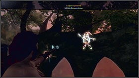 Head to the fortress and then leave it through the gate from which the Hollow Men came - Mourningwood - Gnomes - Fable III - Game Guide and Walkthrough