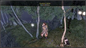 When you exit the cave, turn right [1] and climb the next island - Driftwood - Silver Keys - Fable III - Game Guide and Walkthrough