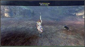 Once you reach the target, the thief will give you a proposition [1] - Royal Schedule - p. 2 - Walkthrough - Fable III - Game Guide and Walkthrough