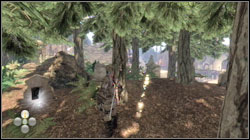 In the cemetery, behind one of the graves, next to the main square - The bibliophile's books - Additional Info - Fable II: Knothole Island - Game Guide and Walkthrough