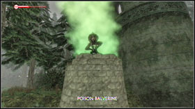 Eventually you will reach the wisps' cell #1 - Story quest - Costume Party - Story quest - Fable II: See the Future - Game Guide and Walkthrough