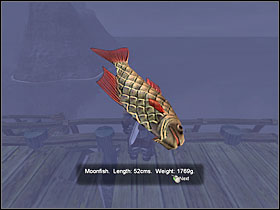 1 - Interacting | Basics - Basics - Fable: The Lost Chapters Game Guide